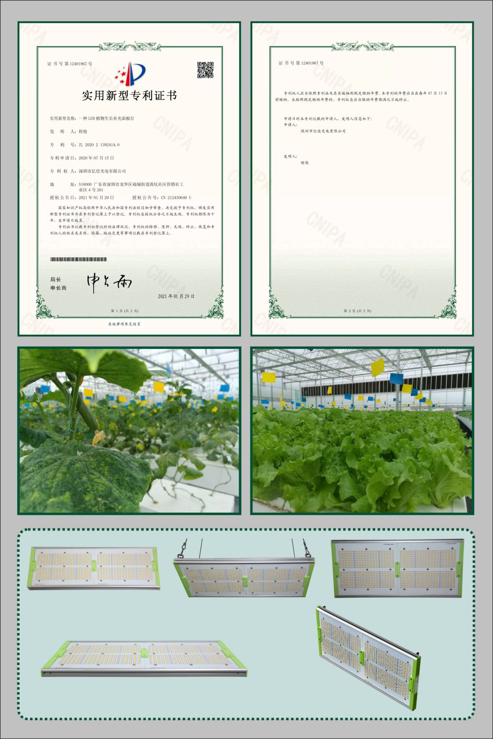 欧洲杯竞猜网站植物生长面板灯实用新型专利
